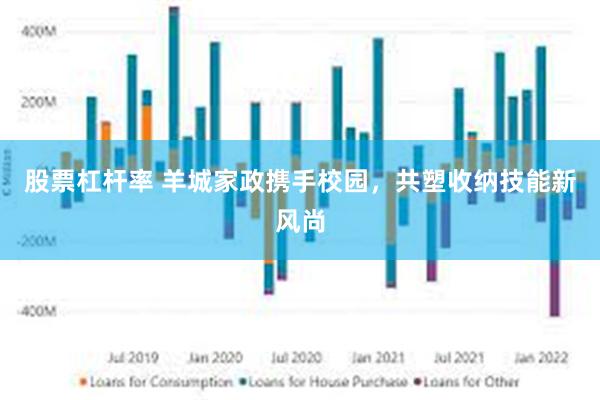 股票杠杆率 羊城家政携手校园，共塑收纳技能新风尚