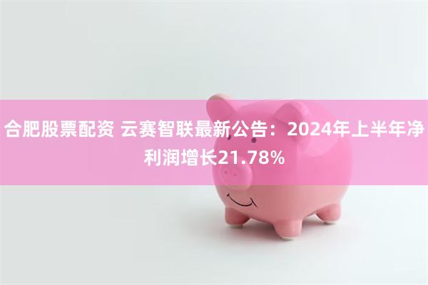 合肥股票配资 云赛智联最新公告：2024年上半年净利润增长21.78%