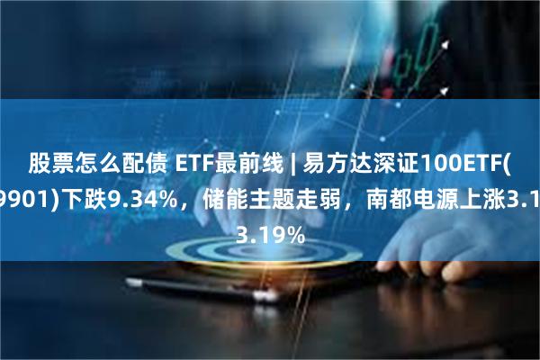 股票怎么配债 ETF最前线 | 易方达深证100ETF(159901)下跌9.34%，储能主题走弱，南都电源上涨3.19%