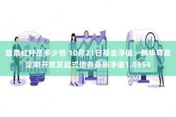 股票杠杆是多少倍 10月21日基金净值：鹏华尊晟定期开放发起式债券最新净值1.0354