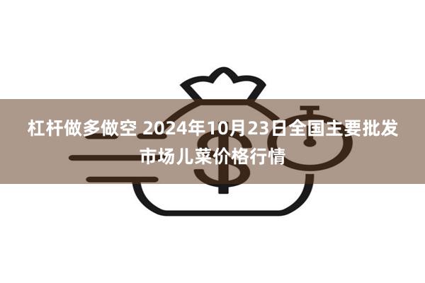 杠杆做多做空 2024年10月23日全国主要批发市场儿菜价格行情