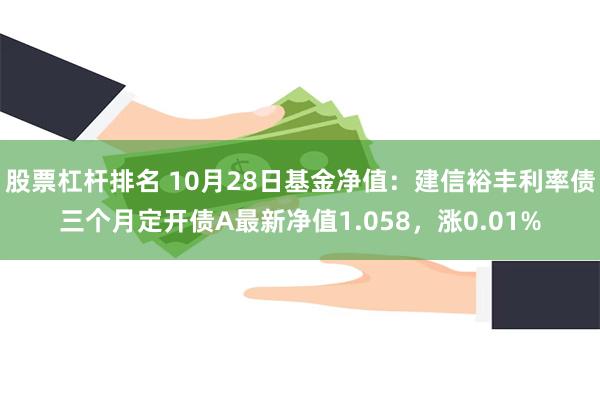 股票杠杆排名 10月28日基金净值：建信裕丰利率债三个月定开债A最新净值1.058，涨0.01%