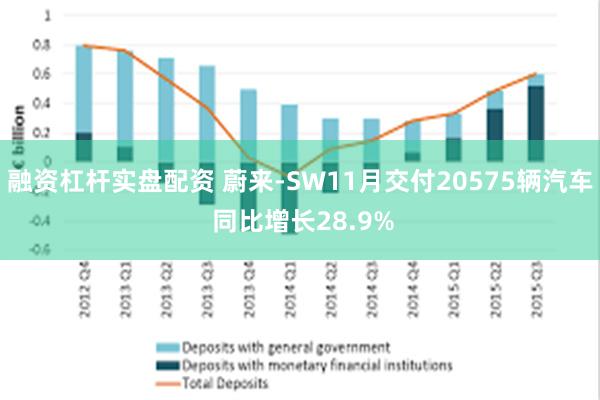 融资杠杆实盘配资 蔚来-SW11月交付20575辆汽车 同比增长28.9%