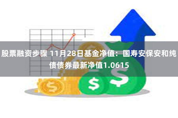 股票融资步骤 11月28日基金净值：国寿安保安和纯债债券最新净值1.0615