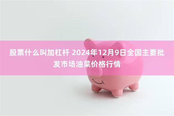 股票什么叫加杠杆 2024年12月9日全国主要批发市场油菜价格行情