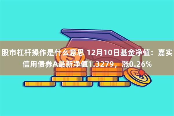 股市杠杆操作是什么意思 12月10日基金净值：嘉实信用债券A最新净值1.3279，涨0.26%