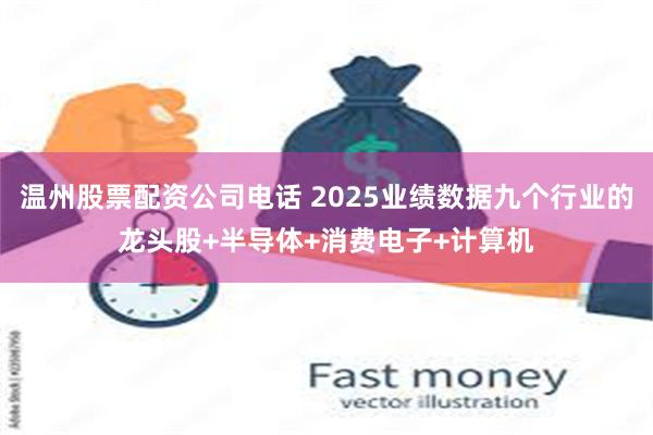 温州股票配资公司电话 2025业绩数据九个行业的龙头股+半导体+消费电子+计算机