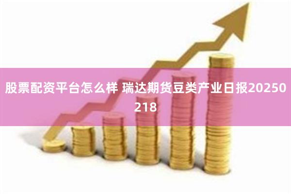 股票配资平台怎么样 瑞达期货豆类产业日报20250218