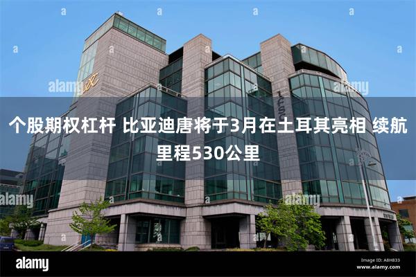 个股期权杠杆 比亚迪唐将于3月在土耳其亮相 续航里程530公里