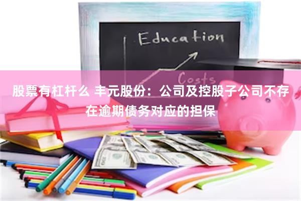 股票有杠杆么 丰元股份：公司及控股子公司不存在逾期债务对应的担保